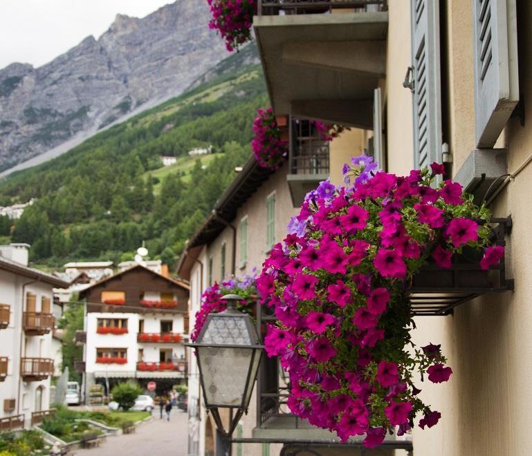 Meuble Albergo Dante Bormio Luaran gambar